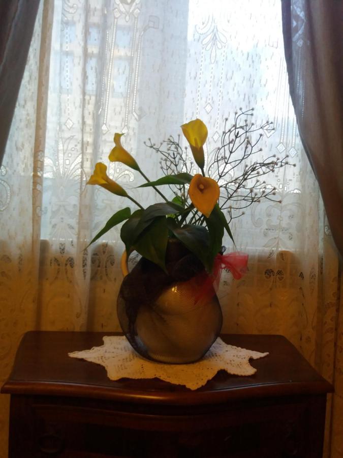 "La Maison Del Corso" Hospitality ピサ エクステリア 写真